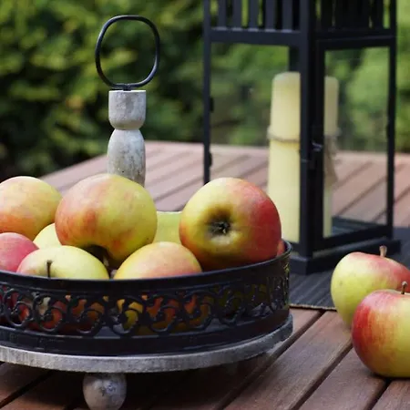 Amazing In Apartmán Hage